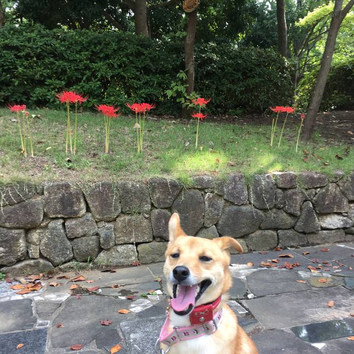 A0672718 09d6 4001 ac33 5340528dbef5