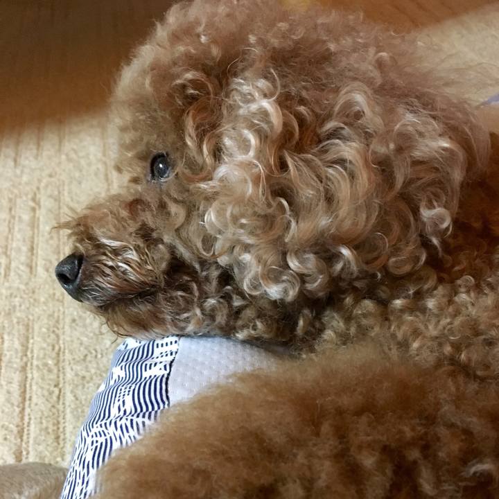 A06784a4 ba3a 475a 9102 057fc9d9300d