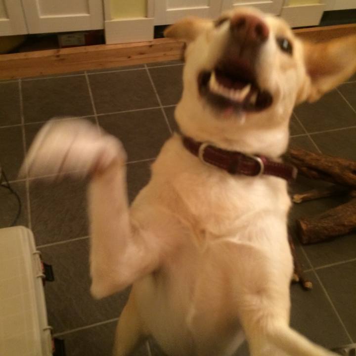 A0678aff f60c 4016 b5fd 25b39c379f6d