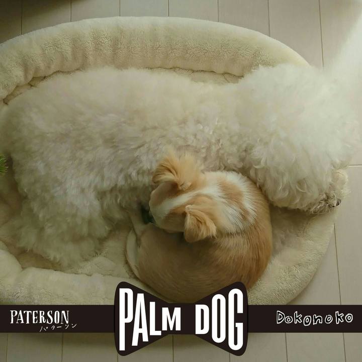 A0678b7b 0a8b 4f92 92d0 908854cef053