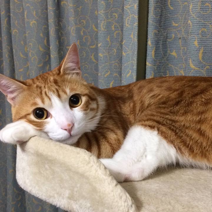 A068b810 8797 47df 97c3 dda6ee99c8e2