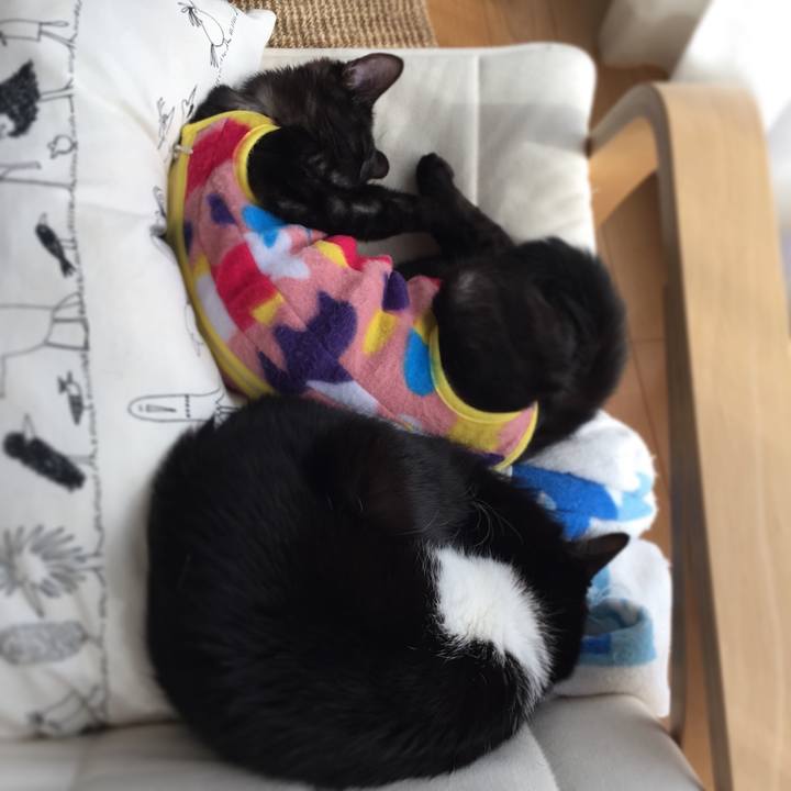 A068e435 411d 45c2 9fed 6b213f1f346f