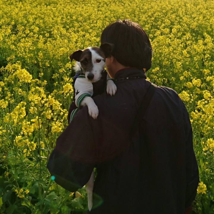 A0695dcf 0215 41b0 9853 ea98f7d3c0e9