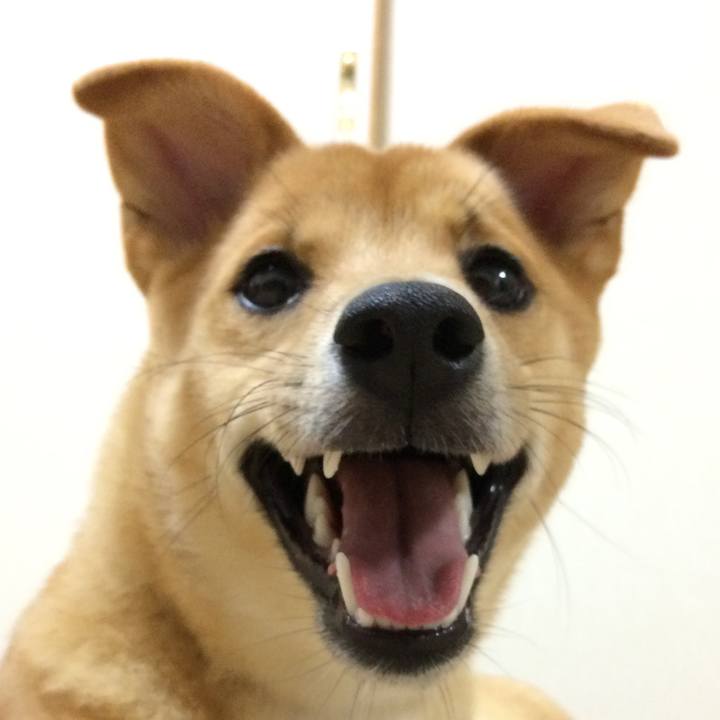 A069682e 63a6 410d b2cf d0a880ac7516