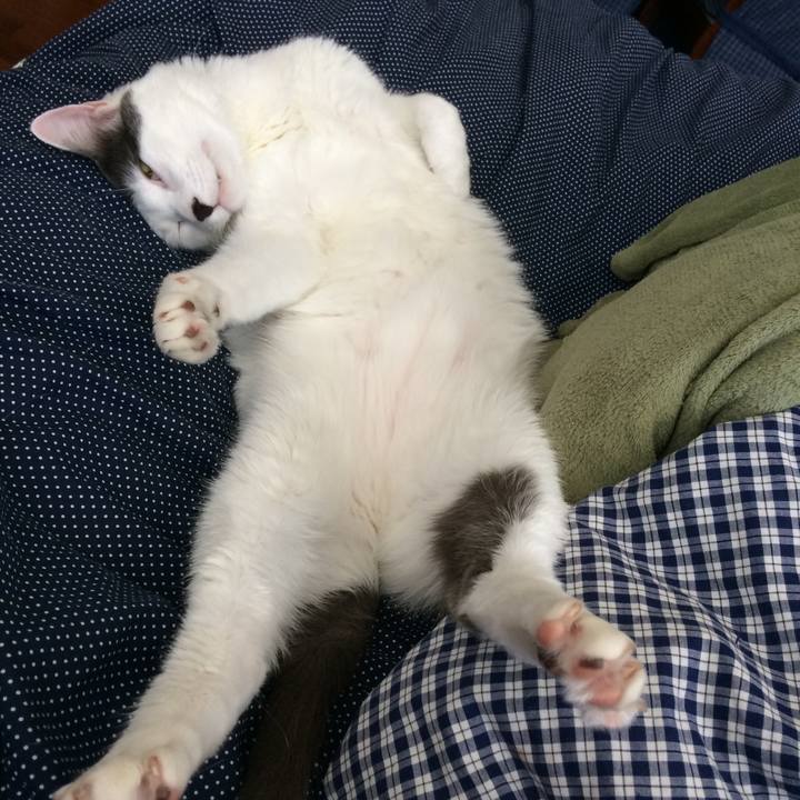 A0697254 f6fa 4fbf 9673 c5dc50b328c4