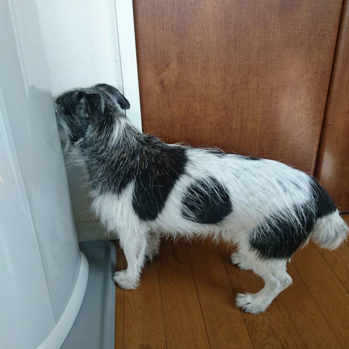 A069c347 6cef 4613 9e75 249420e1b952