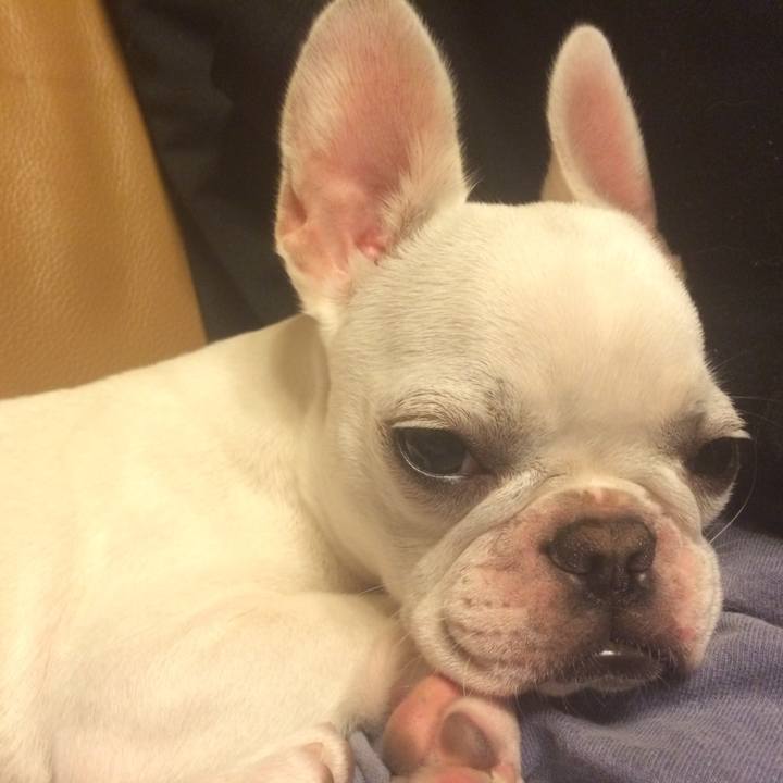 A069e291 0bd8 438c b2be 11b6f7d7bd25