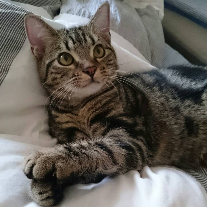 A069f255 63a2 4e24 9f80 07a74e4bd340