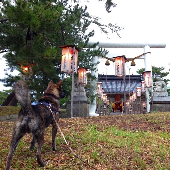 A06a1c8e 47fd 4687 9705 8c36d5c88f15