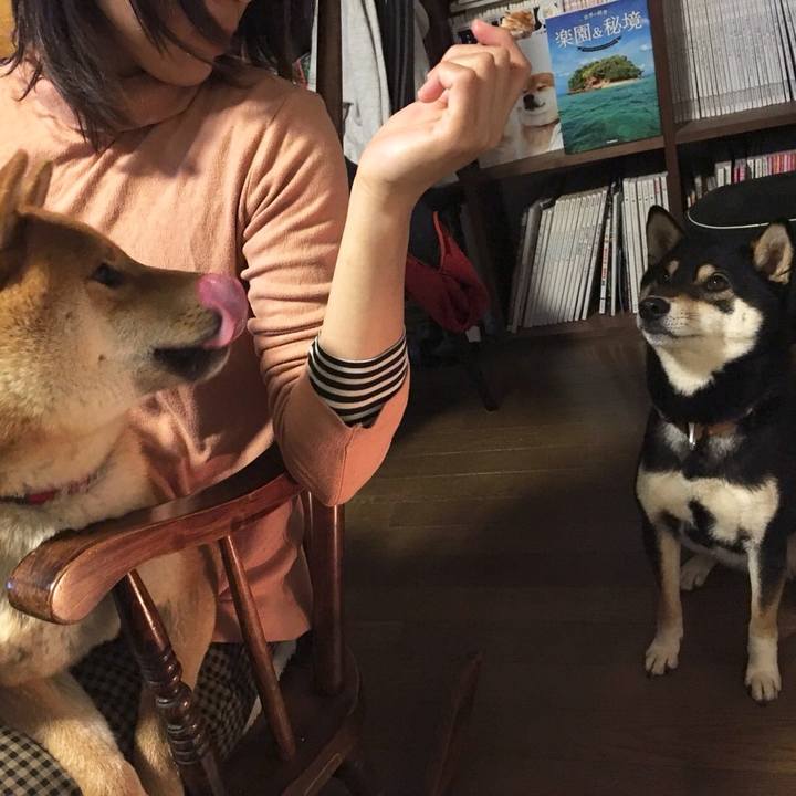 A06bd94c bb5e 4d3a aa47 1f271d70f97e