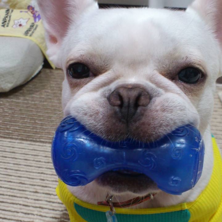 A06c4a46 e056 4b72 b7ee ab5d05229c00