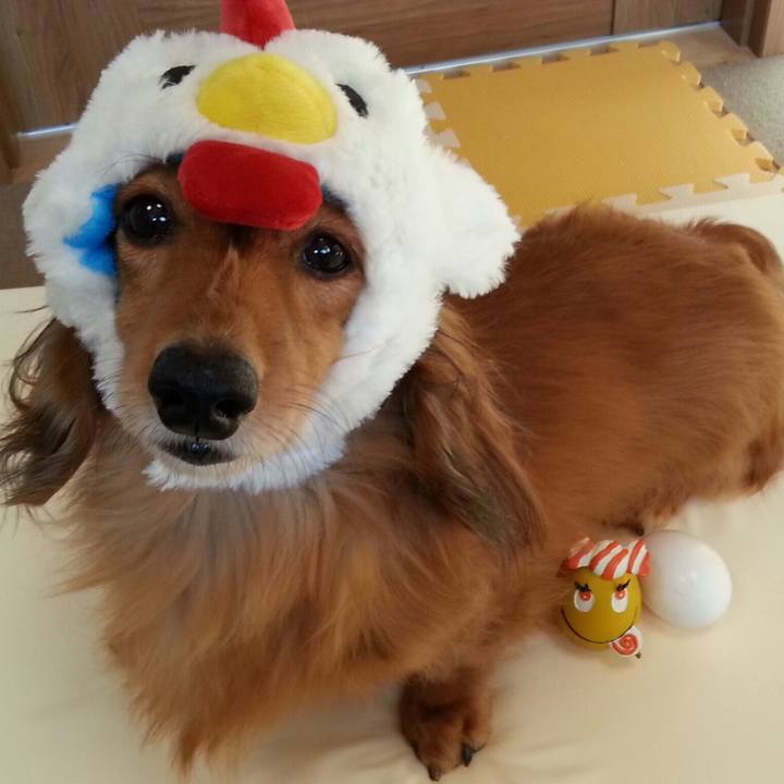 A06c5de5 503f 468f b14e 4839b6384afe