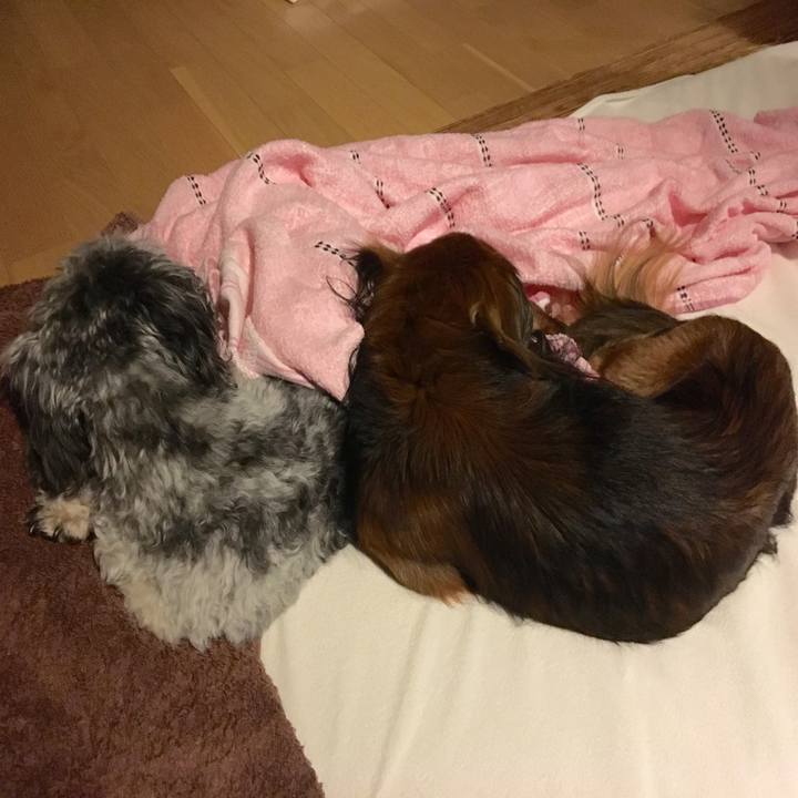 A06c8448 e699 46e5 b3ce b652955c2401