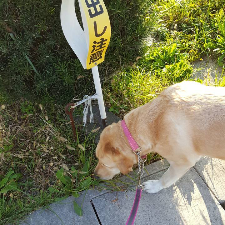 A06c874e 87f5 4fe3 b5ba 2696fe0ae9bc