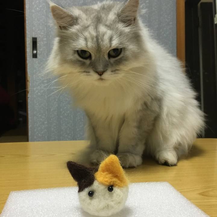 A06c90f5 a8d3 406f bc91 c05310eb0278