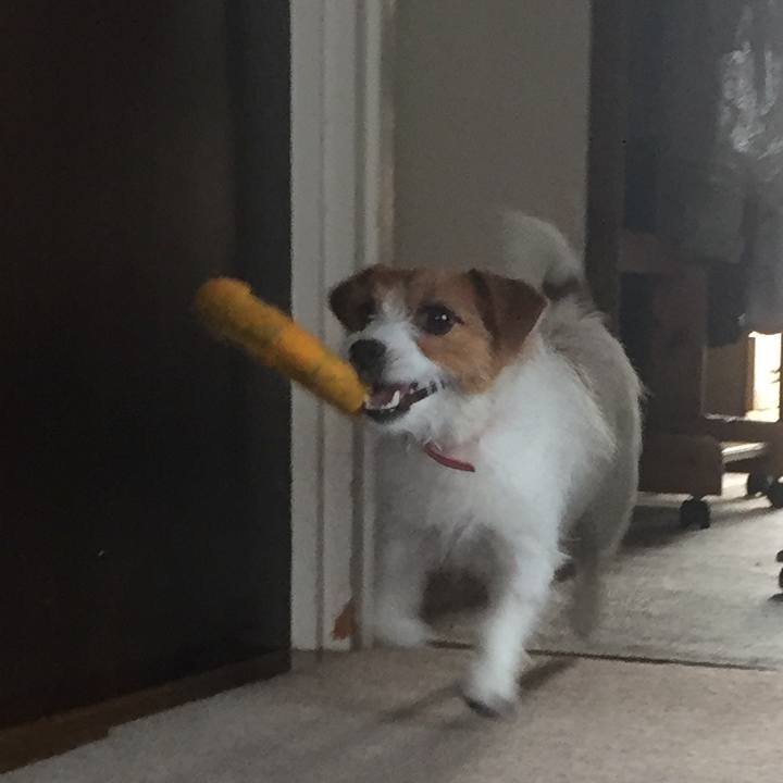 A06d1f2b 7ab4 42ee 9fc1 ca9b4528506f