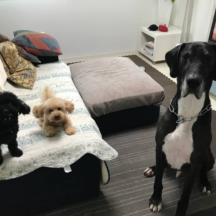 A06d2fa0 ec5e 4231 892c 538d1cb35efc