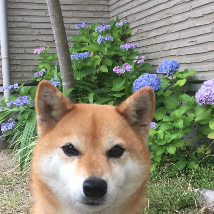 A06e2b21 fd2d 490e b6b5 2a40730e4fe0