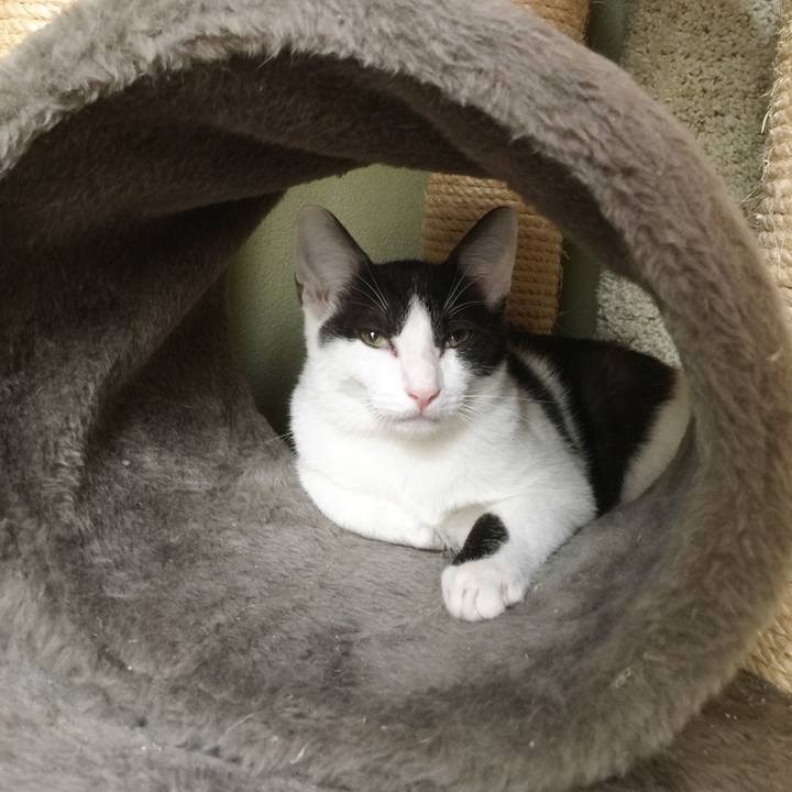 A06e8dfe 65c8 4409 b782 127adfe4c24f