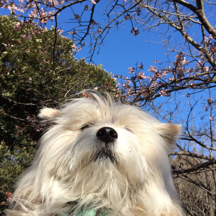 A06f0ae0 238e 40e1 9f19 96072117ff4f