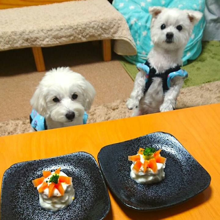 A06f883f 2970 4c35 8b25 a5c5ee769ab3