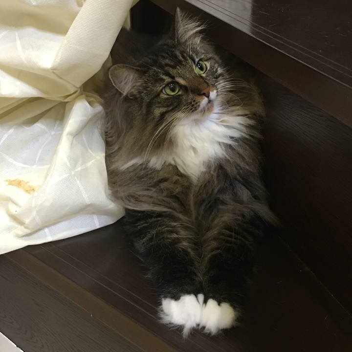 A06fc057 a2a0 4ff8 86b2 a56cf53cf8fb