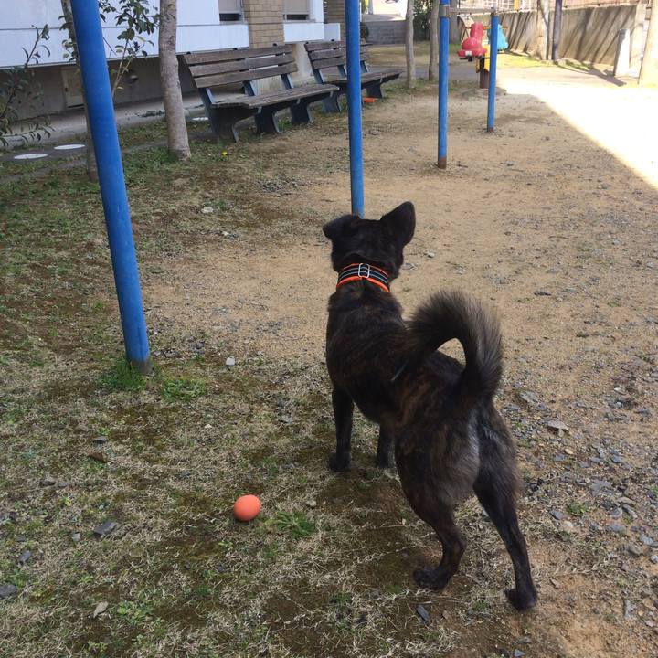 A0702ac8 68f2 4993 bb06 30d8c59890fb