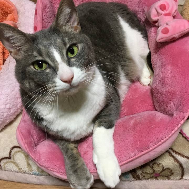 A07067de aa91 488e 9c7c 17e329049f9c