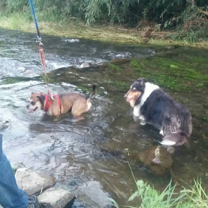 A07095f7 5884 477f b057 ef2765ea0620