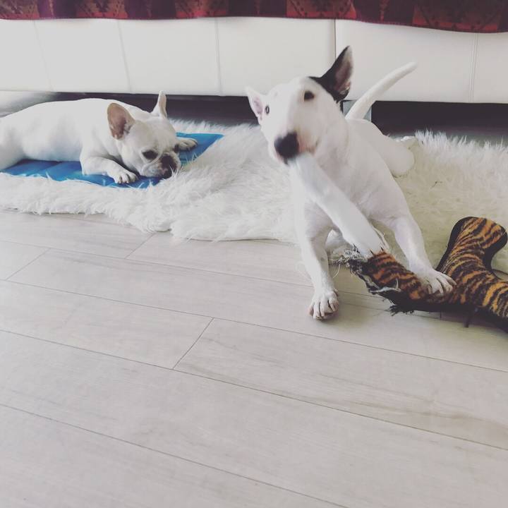 A0709b74 1211 45b3 829e 283633cc3a7b