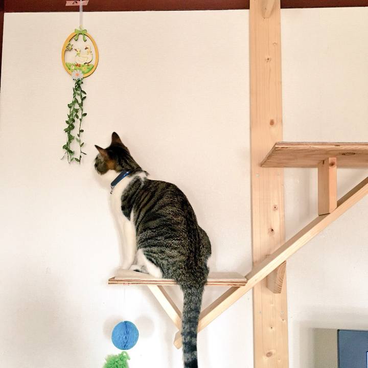 A070b3ac c061 46d7 ad94 5aa5b2a403b7