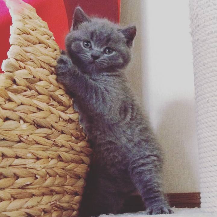 A070bd06 37bb 45af a284 b7ed2ccf0967