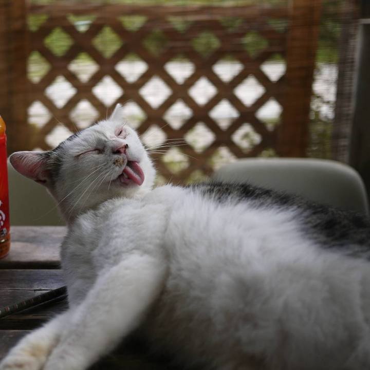 A071f266 0e40 4889 bc45 41a0e47a2f52