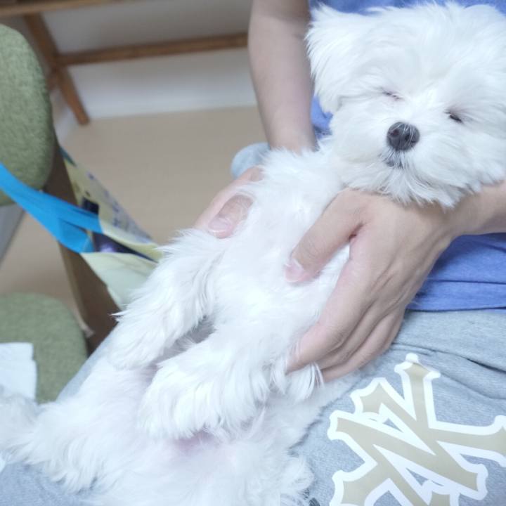 A0728c73 8875 46c7 b113 a5c29f412ca8