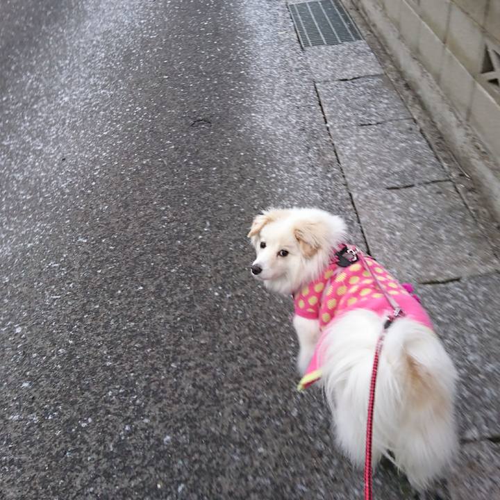 A072df70 e4fe 4cae 96fd f927e3130c02