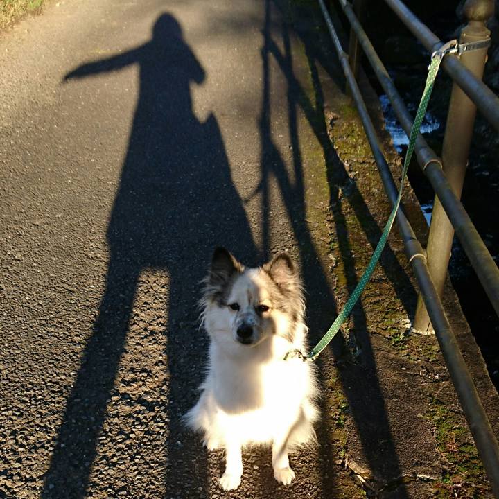 A072f57c c015 4117 ad88 b4651301b219