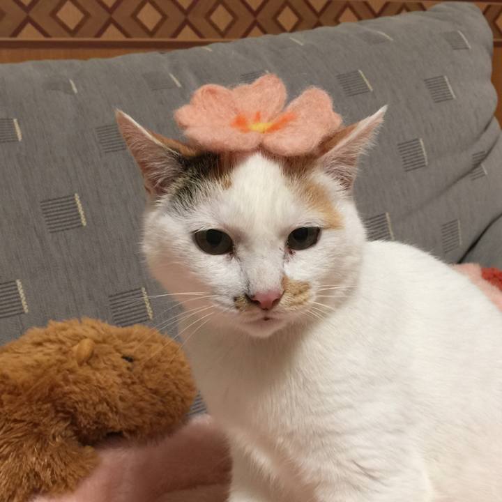 A07304af 6086 4892 8d3e 142c45860723