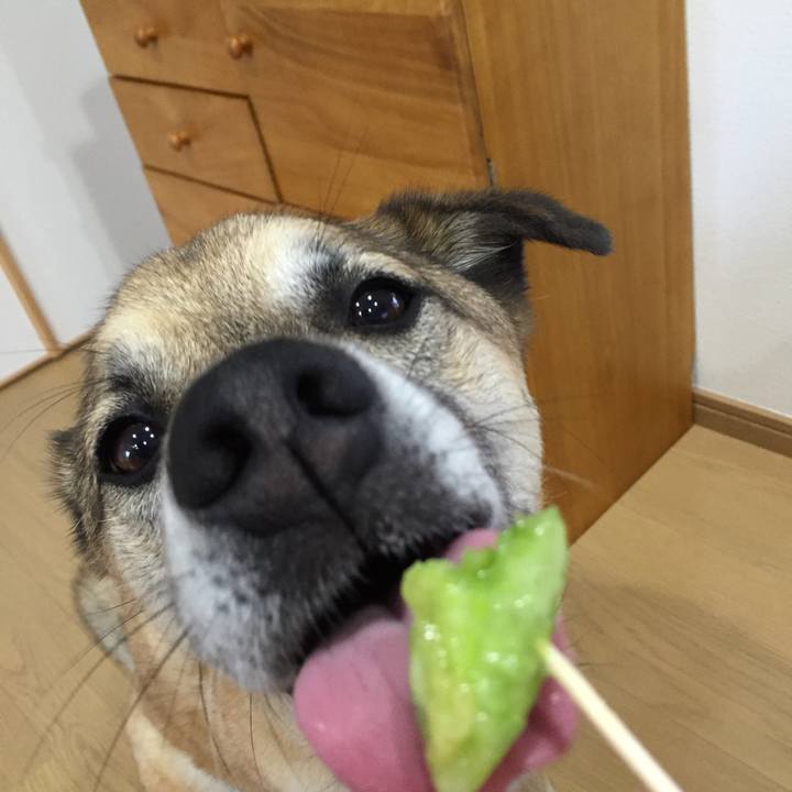 A07354a6 66d8 464a 9074 59370469aa6f