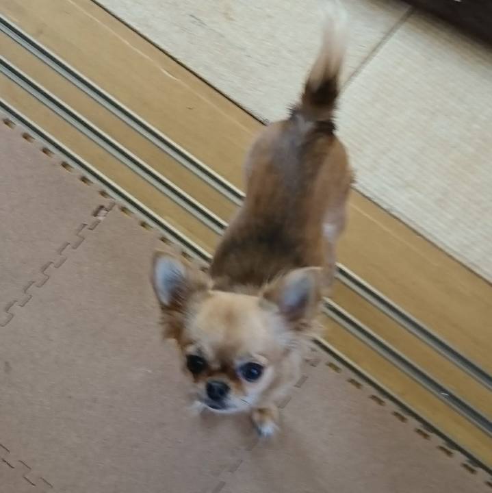 A073bb51 ffb2 4701 96f5 dd036833cc0f