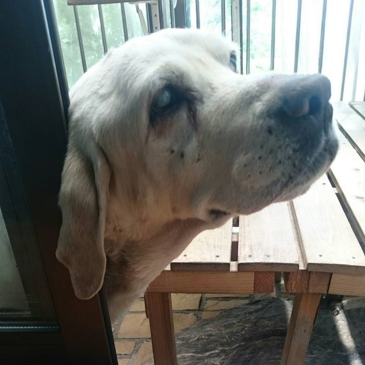 A073d9f2 eadd 4d75 b8f8 fb410d1ad28f