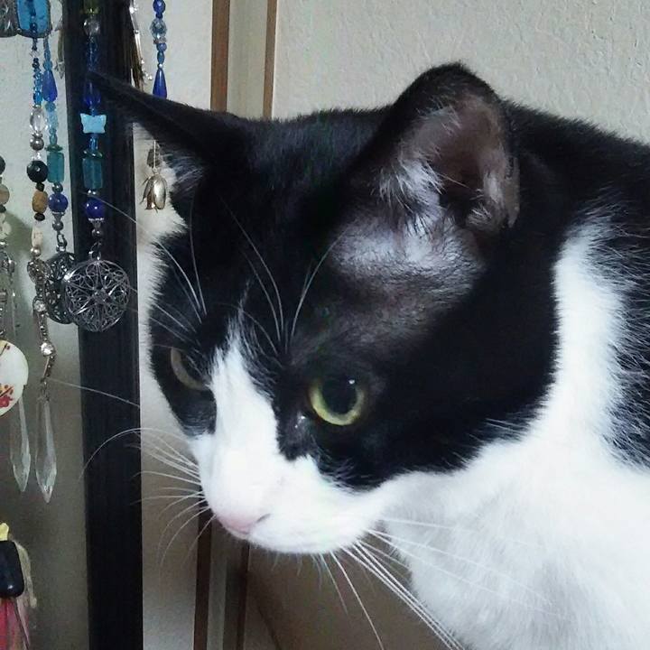 A0741e03 971a 4dc4 91cc b2e7f8a40ad8