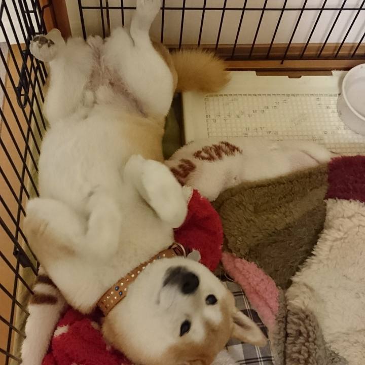 A075908d c09c 4152 acd3 e4157a6f5e73