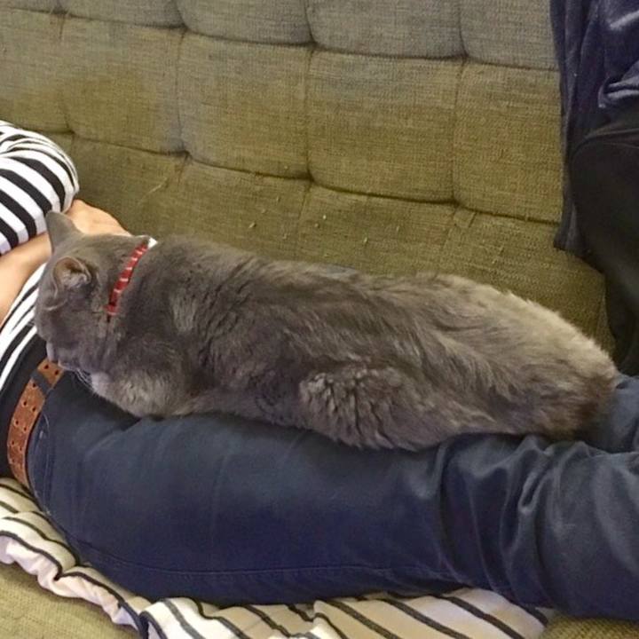 A075d980 7c88 4025 85b2 60b67b7095f7