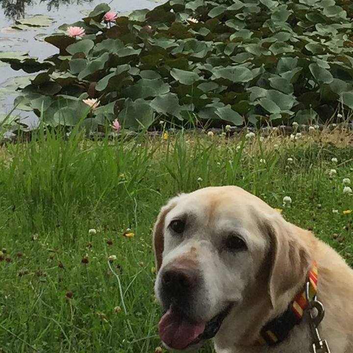 A076950f deb3 4aa1 99bf fbf3a83037df