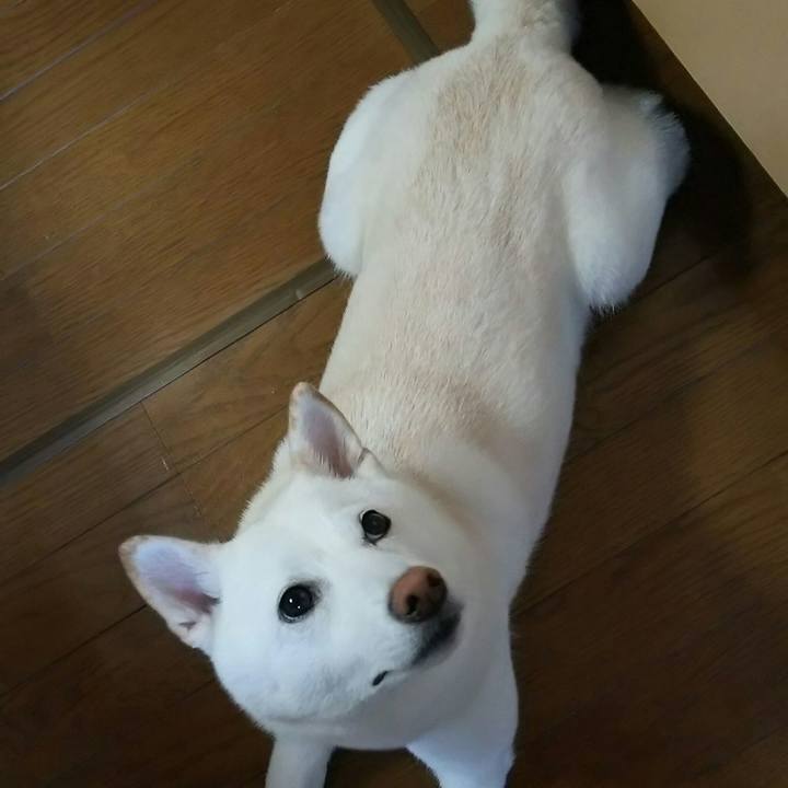 A076b7ab 52c5 4ed0 ac2d 01bb34a4e36e