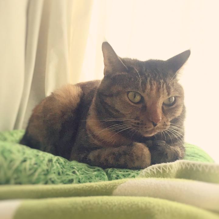 A0773299 b252 4539 b67a 29d3856dce25