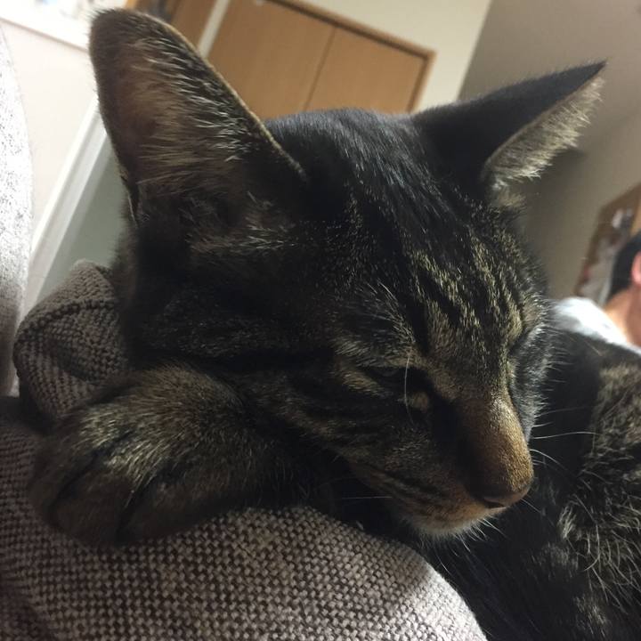 A077acbe c1b3 4009 a327 3d62fac24051