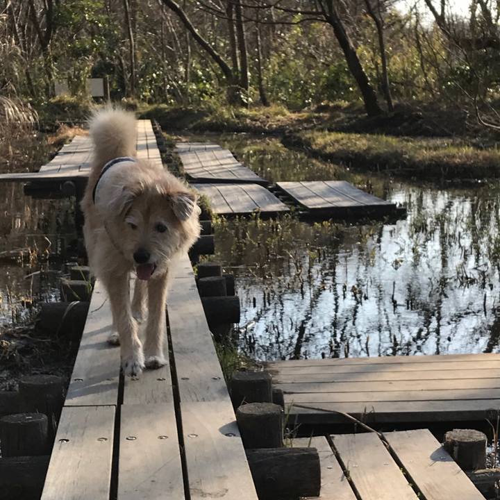 A077fdf5 8458 4d96 9513 ac157b06a679