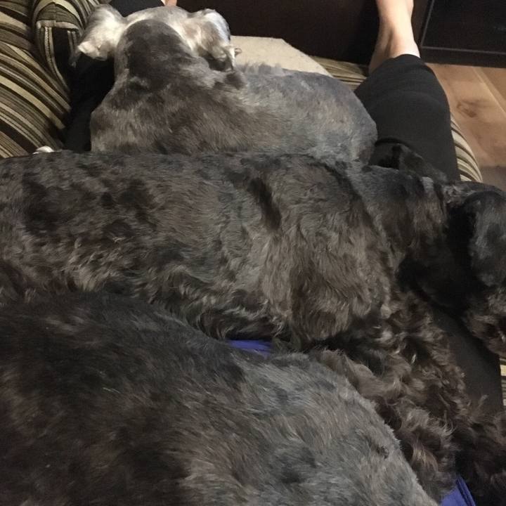 A0780678 df09 4e3a 871d 24ce1da59c69