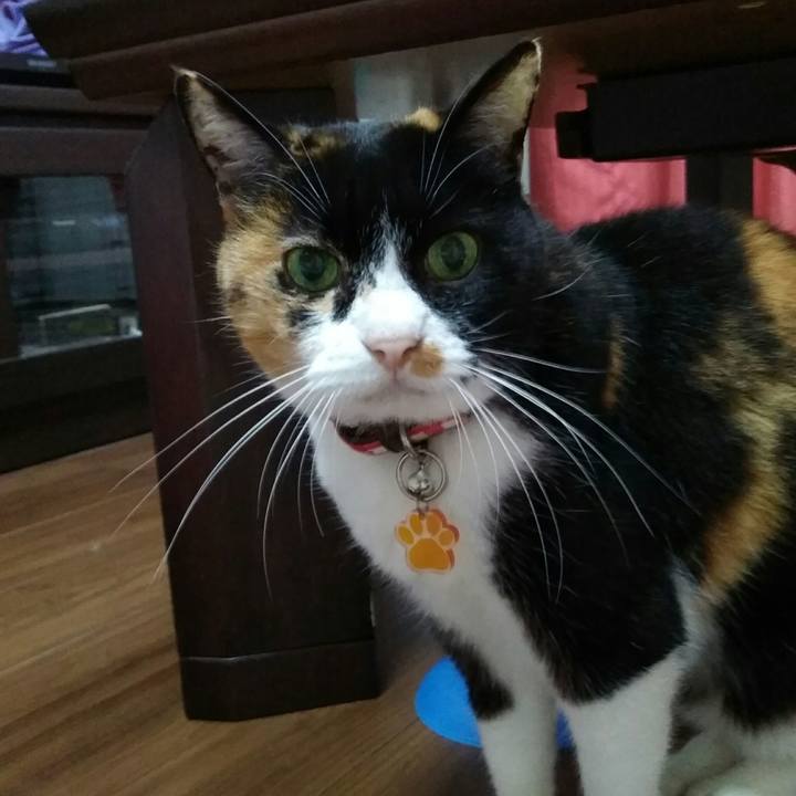 A0798f78 7e74 4e57 8442 7cbcf8063e35